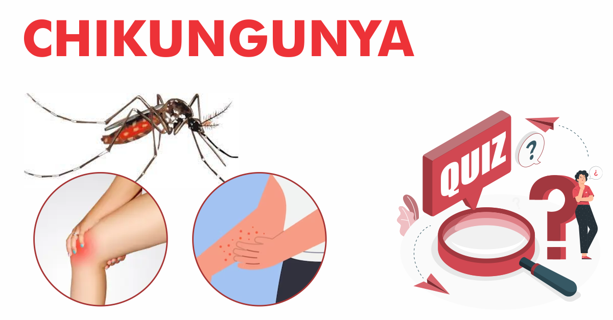 Quiz Chikungunya
