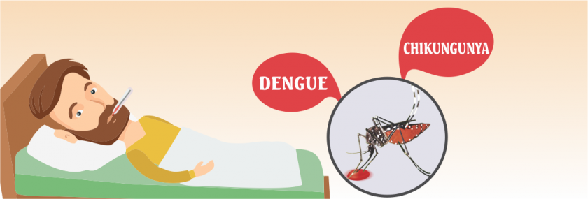Blog-Image-Dengue