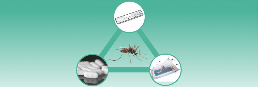 Blog-Image-Surveillance-Treatment-in-Malaria