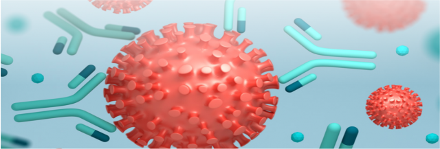Blog-Image-The-World-of-Antibodies