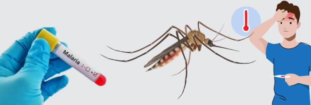 Blog Images- Malaria - Symptoms-Diagnosis-and prevention