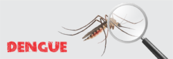 Blog Images Focused Diagnosis for Dengue