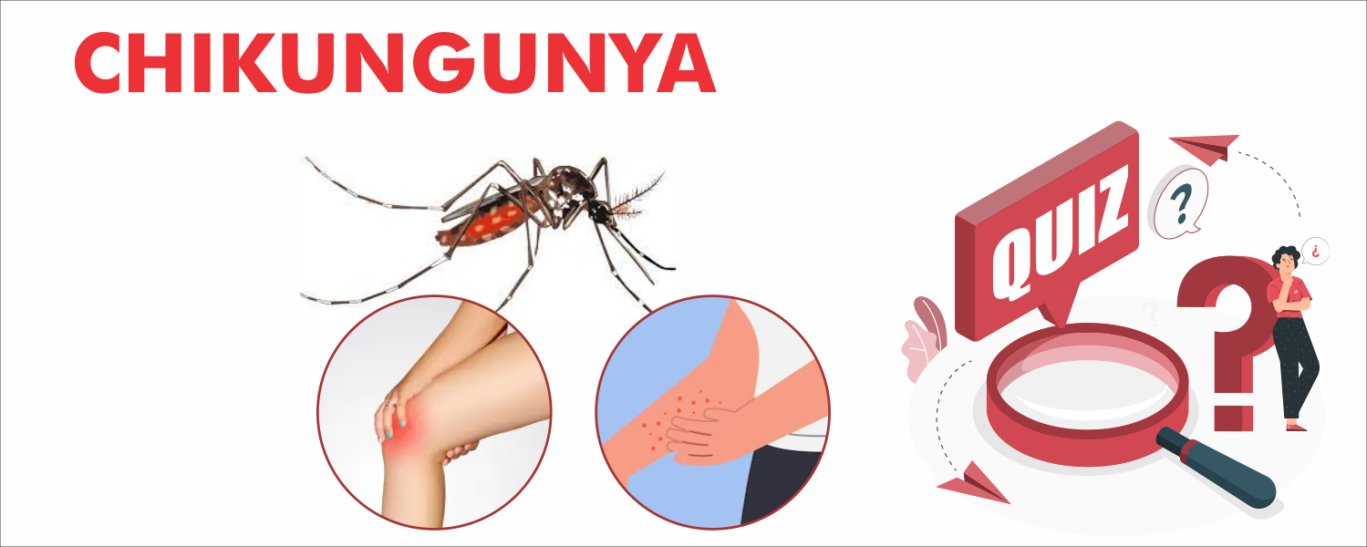 Quiz Image Chikungunya