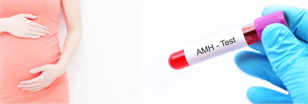 Quiz Image AMH diagnostic significance