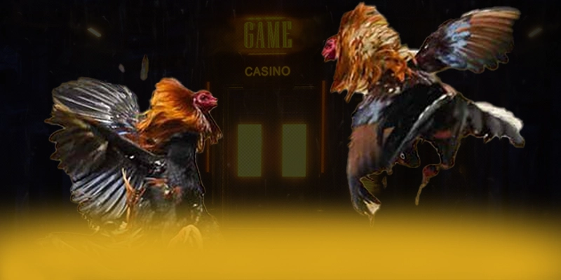 789WIN - Nhà cái chất lượng số 1 Việt Nam 789WIN - Nhà cái chất lượng số 1 Việt Nam