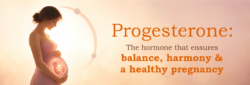 Blog Images Progesterone The hormone that ensures balance harmony and a healthy pregnancy
