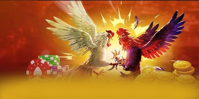 FB88 - Trang game tốc độ cao số 1 Việt Nam FB88 - Trang game tốc độ cao số 1 Việt Nam