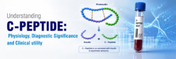Blog Images Understanding C PEPTIDE Physiology Diagnostic Significance and Clinical utility