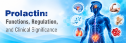 Blog Prolactin Functions Regulation and Clinical Significance
