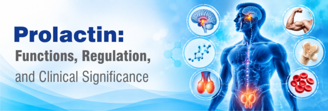 Blog Prolactin Functions Regulation and Clinical Significance