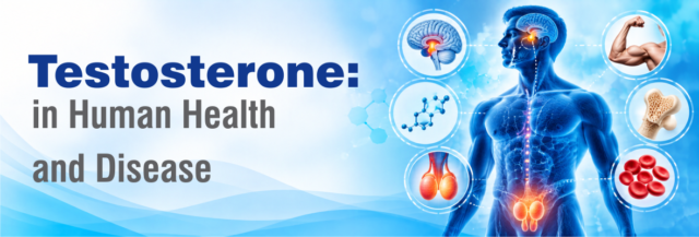 Blog Testosterone in Human Health and Disease